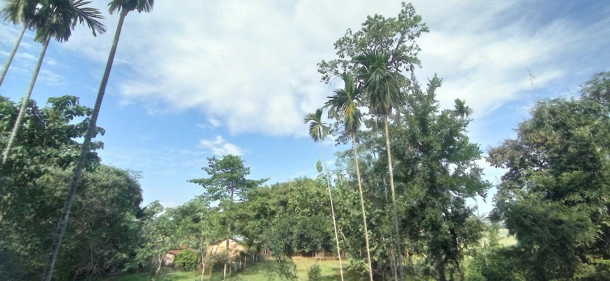 Hotel Kaziranga Holidays Exterior foto